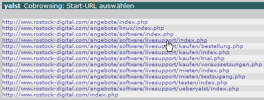 yalst-Cobrowsing (ohne Plugins)