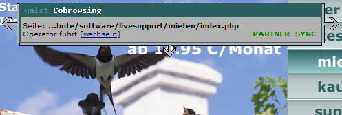 yalst-Cobrowsing (ohne Plugins)