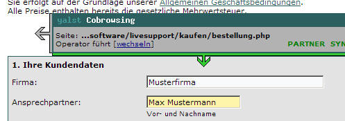 yalst-Cobrowsing (ohne Plugins)