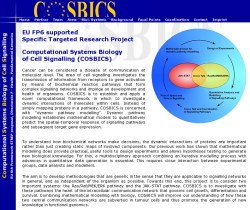 COSBICS