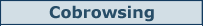 Cobrowsing