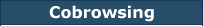Cobrowsing